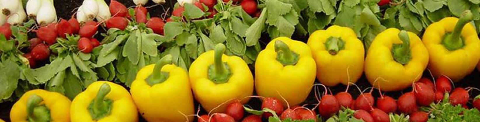 How IoP Can Connect the Packaged Food Value Chain banner