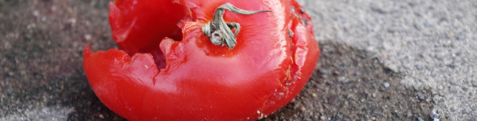 The Daily Cost of Food Waste banner