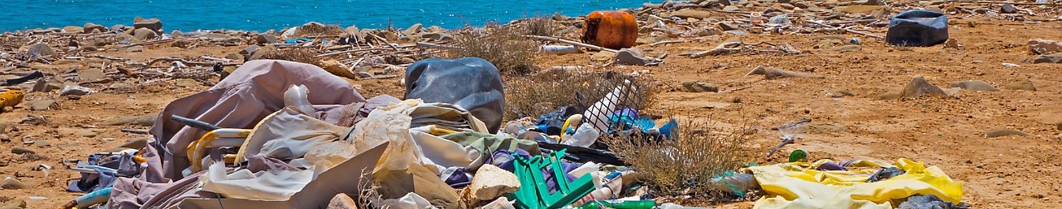 Breaking the Plastic Wave banner