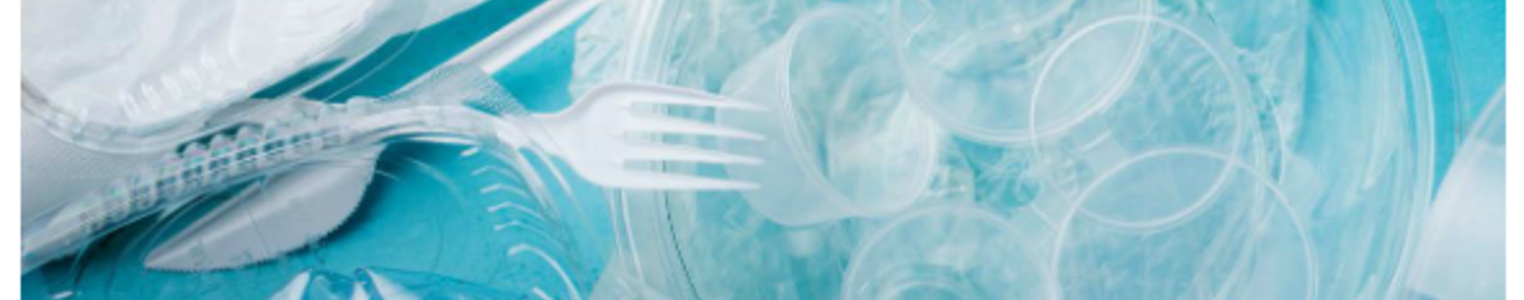 Plastics for a Circular Economy Workshop: Summary Report banner