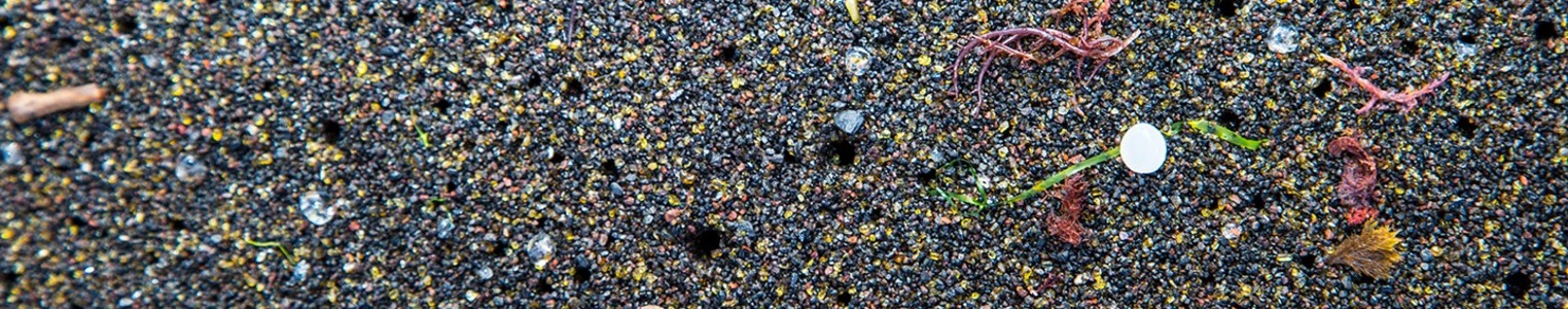 Recycling of Plastics in Food Packaging banner