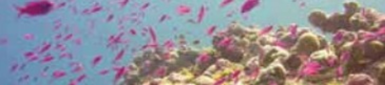 Reefs at Risk Revisited banner