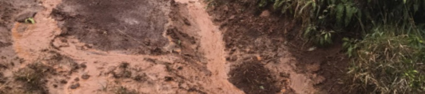 Waste to Bioplastics: How Close Are We to Sustainable PHA Production? banner