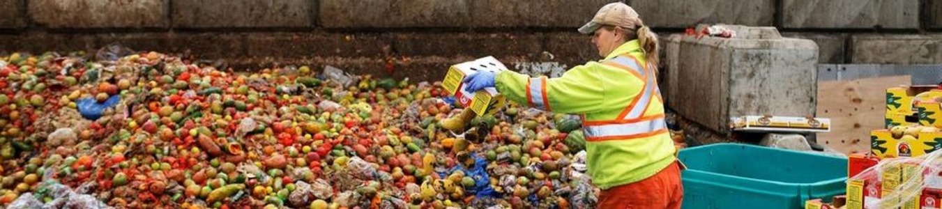 Food waste recycling for business banner