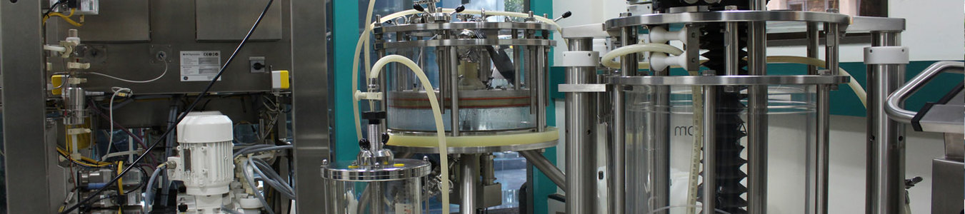 Starch Based Bio-Plastics: The Future of Sustainable Packaging banner