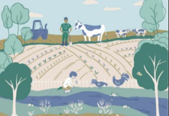 Regenerative organic agriculture and the soil carbon solution card