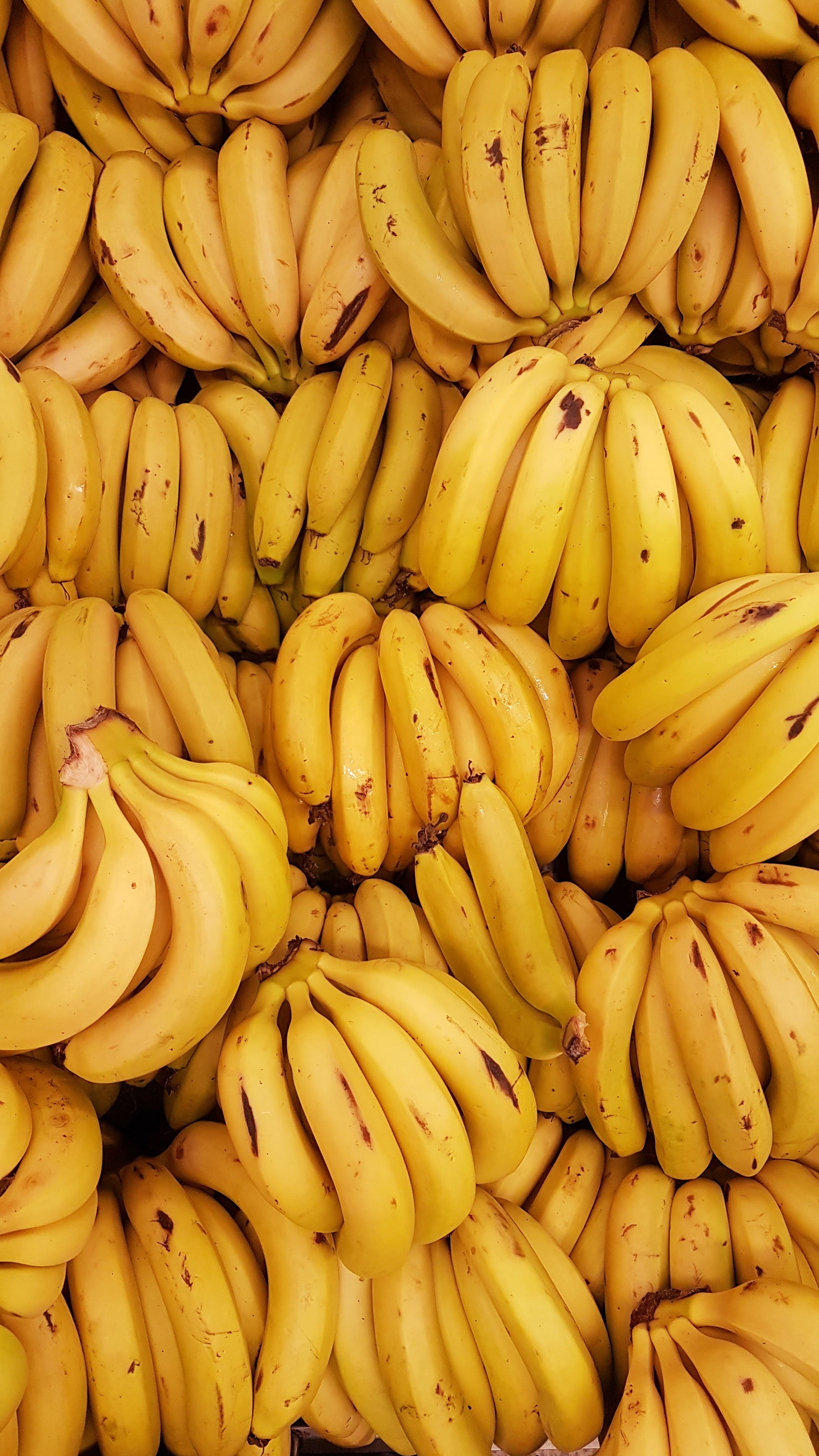 Horizon Europe 2020 Project:  Microbial uptakes for sustainable management of major banana pests and diseases card
