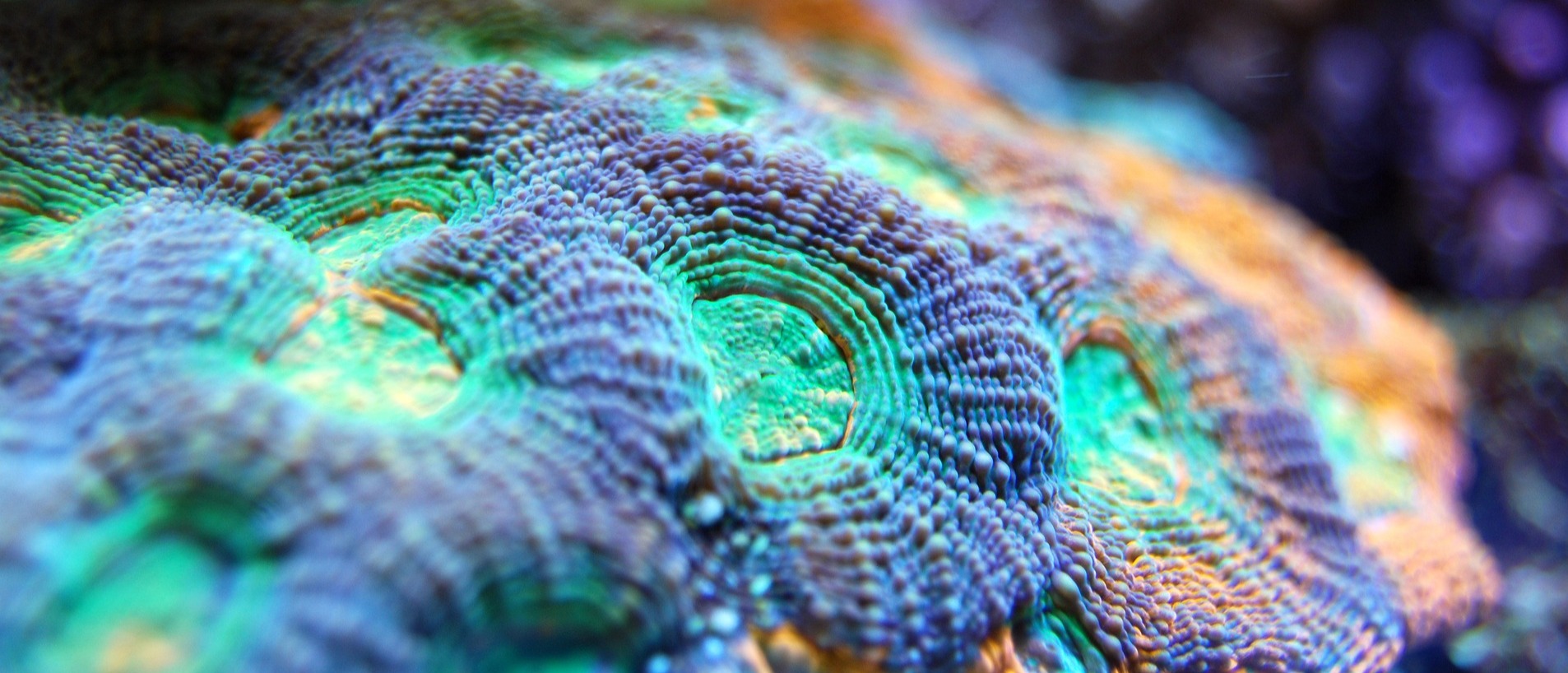 Best Practices - Transparency and Accountability card