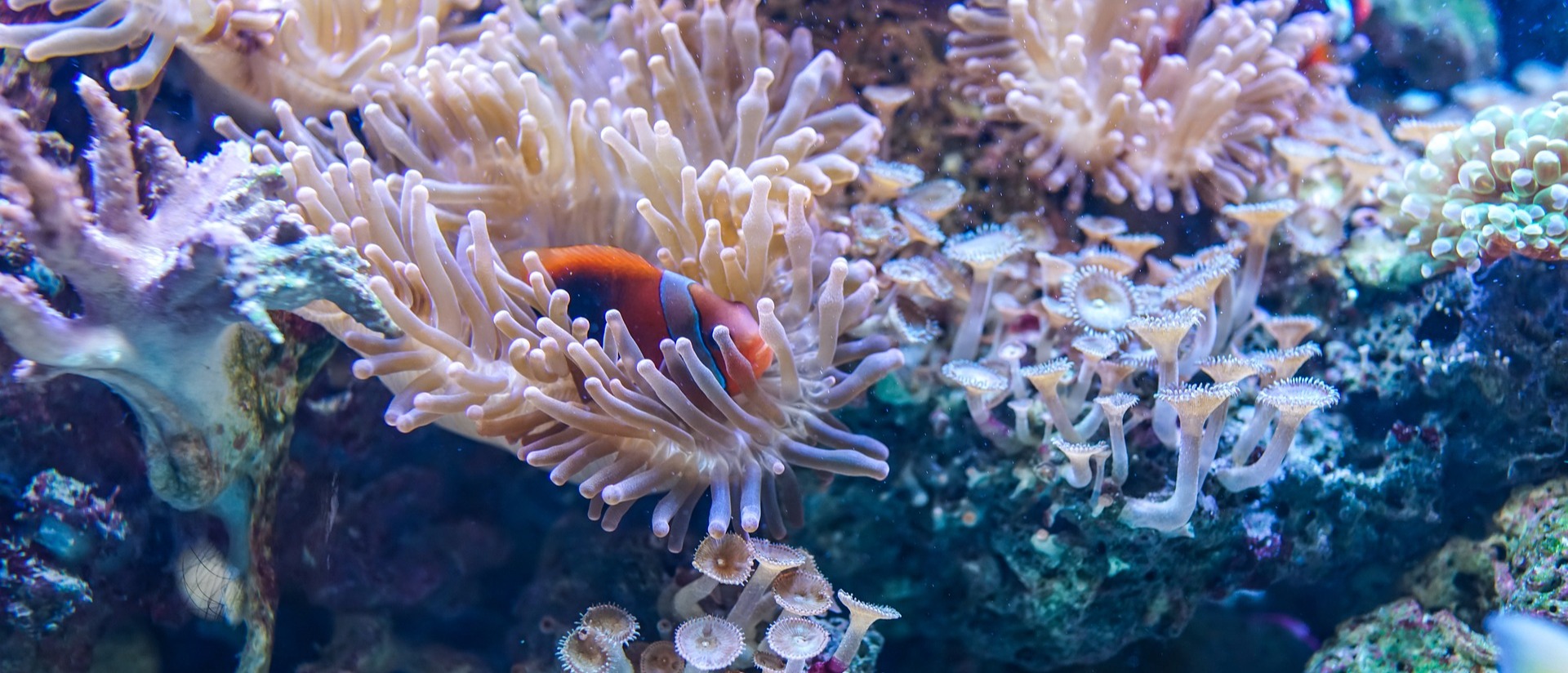 Best Practices -  Monitoring, Evaluation, Knowledge, and Adaptive Management card