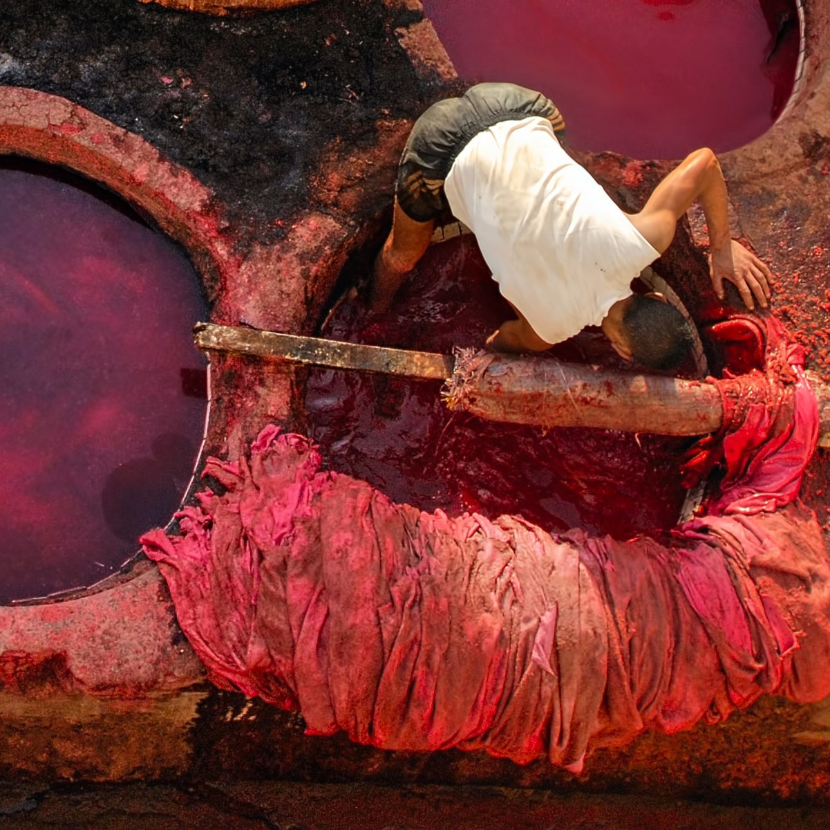 Material Performance and Sourcing: Bovine Leather card