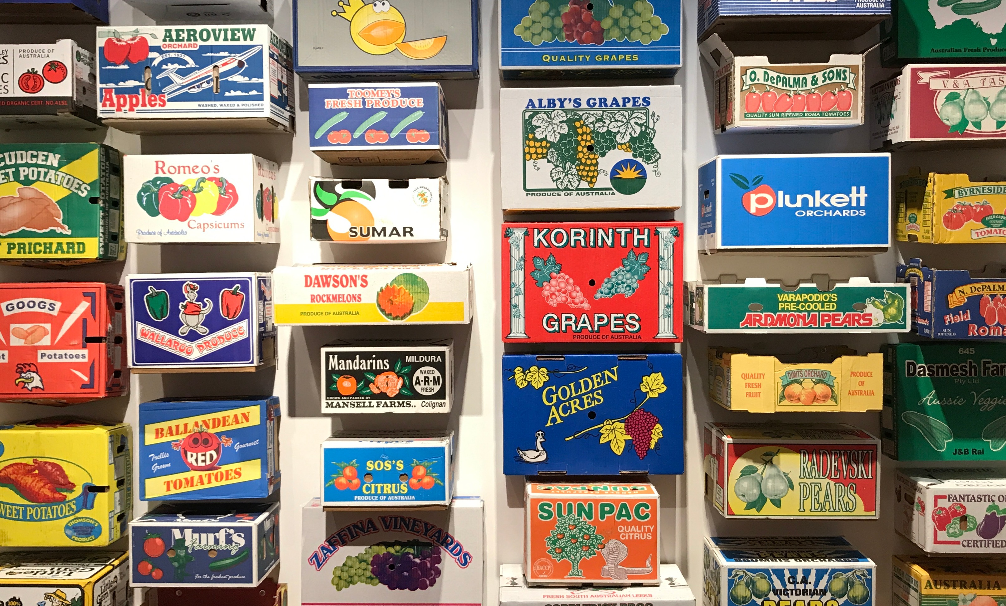 The Dawn of the Food Packaging Value Chain card