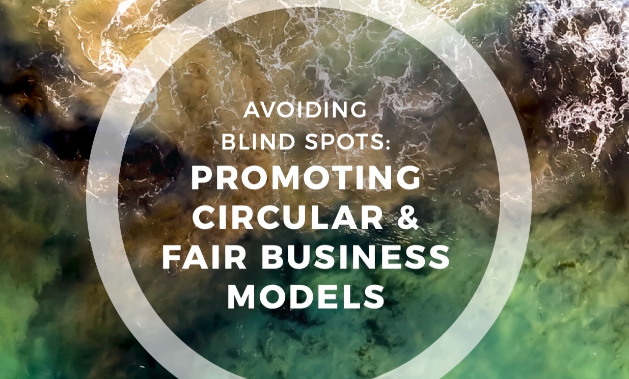 Avoiding Blindspots: Promoting Circular and Fair Business Models card