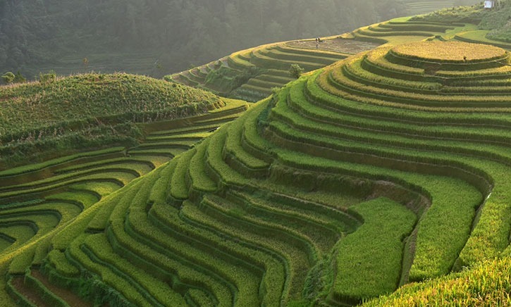 New Compass Charts Path to European Green Deal card