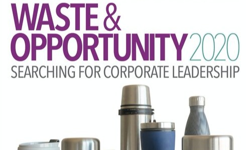 Waste and Opportunity 2020: Searching for Corporate Leadership card