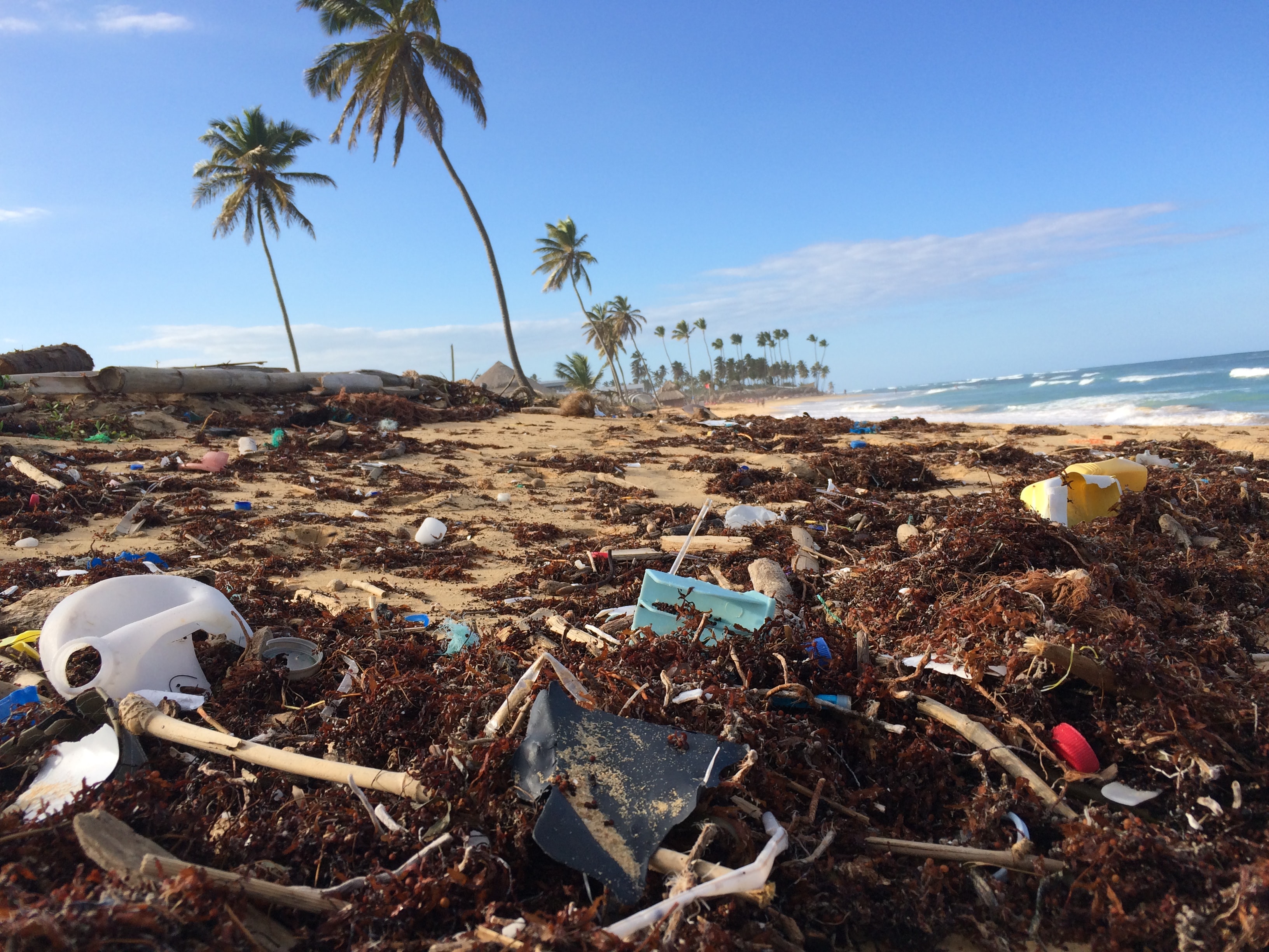 Evidence that the Great Pacific Garbage Patch is Rapidly Accumulating Plastic card