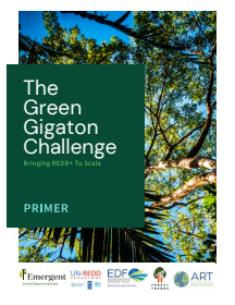 The Green Gigaton Challenge card