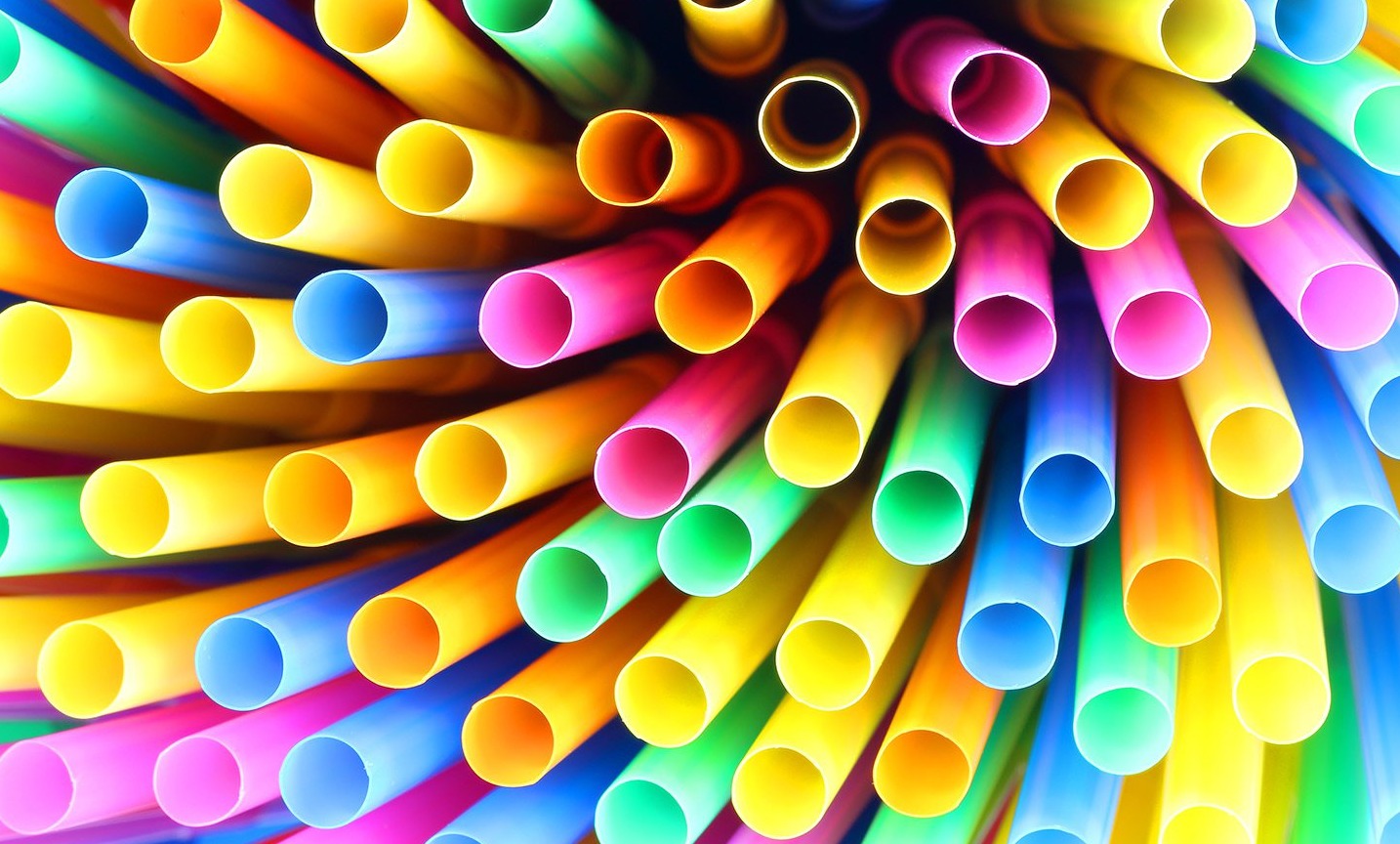 Could plastic made from bacteria guts help solve our waste crisis? card