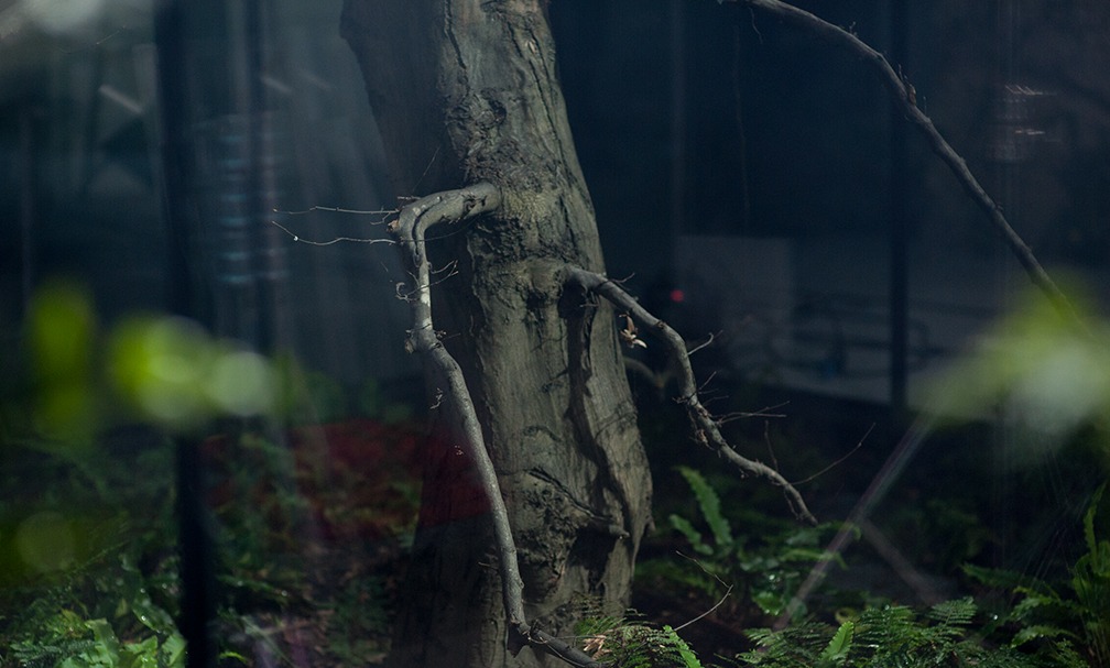 Environmental Profit & Loss card