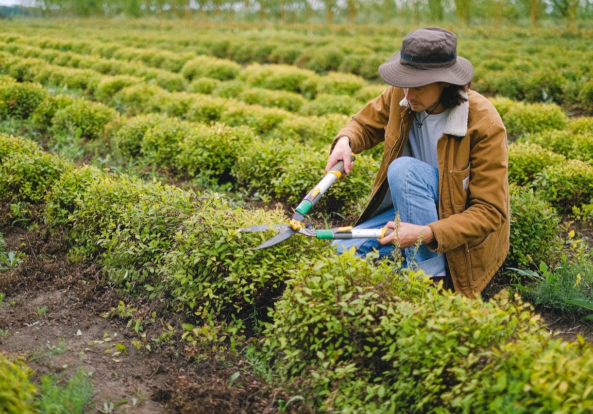 As the Pandemic Winds Down, Entrepreneurs Are Stepping Up card