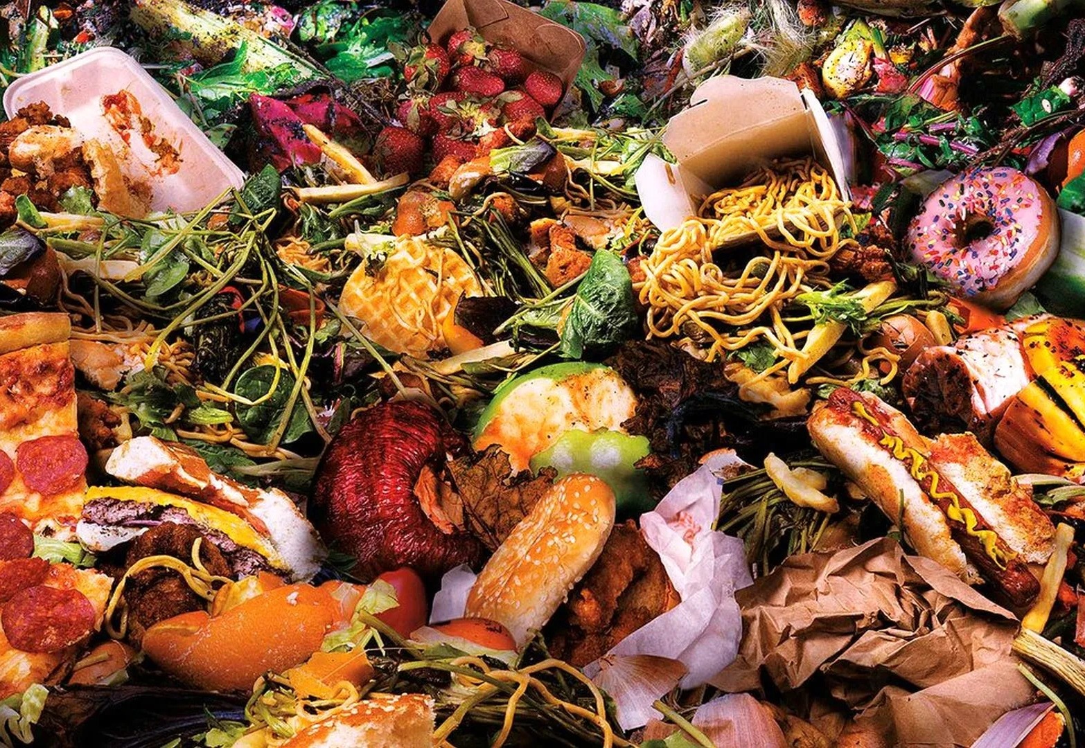 The State of Food Waste in West Asia card