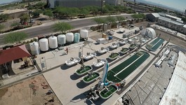 Algae Bioplastic card