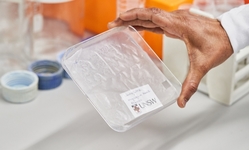 Bioplastic from banana waste card