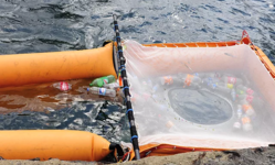 Waste Free Oceans card