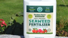 Donegal Seaweed card